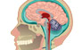 The Brain Game banner image