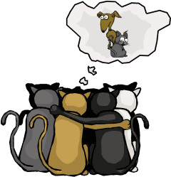 Cat council image