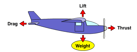 Diagram showing weight