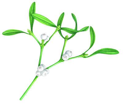 Related Image