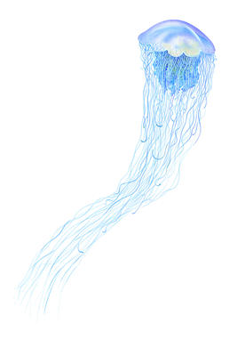 Related Image
