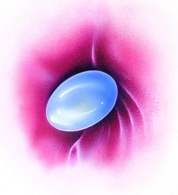 Related Image