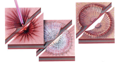 The impact of a meteorite (1) causes a shock wave (2) in a planet's crust, which forces rock upward in the centre of the crater (3).