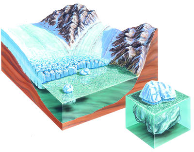 Ice is less dense than seawater, so huge masses of ice can float in the ocean.