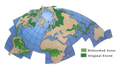 Natural forest is being lost most quickly in South America.