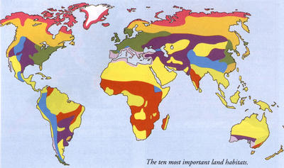 The 10 most important land habitats