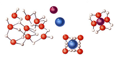 Salt dissolves quickly in warm water, and as it does so its ions separate.