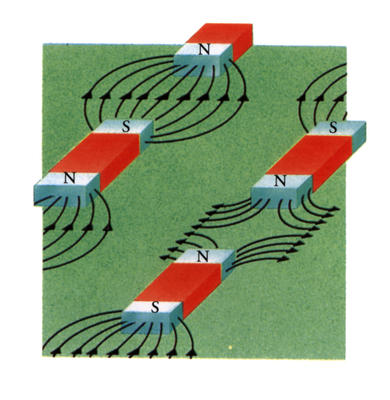 Lines of force between the poles of magnets trace out the magnetic fields.