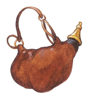 Brown Antique Leather Water Carrier