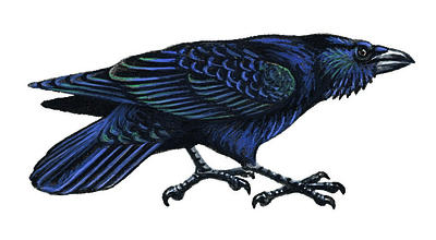 Related Image