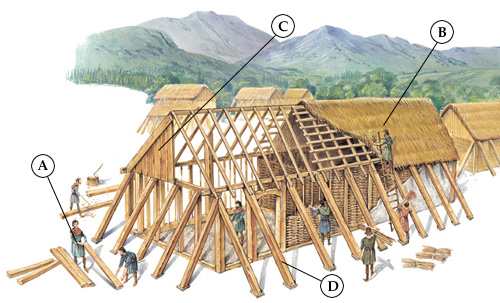Related Image