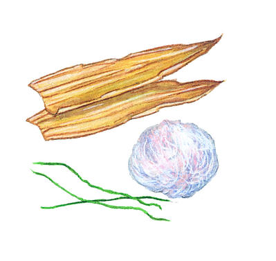 Related Image