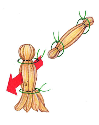 Related Image