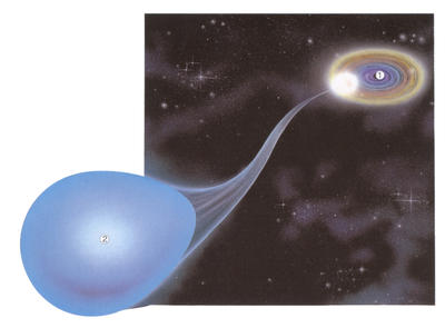 The black hole Cygnus X-1 (1) is orbiting a blue super-giant star (2), which it is slowly pulling apart. As the star spirals down onto the black hole, it forms an incredibly hot disc around it.