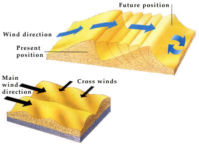 Sand dunes are shaped and moved by the motion of the wind