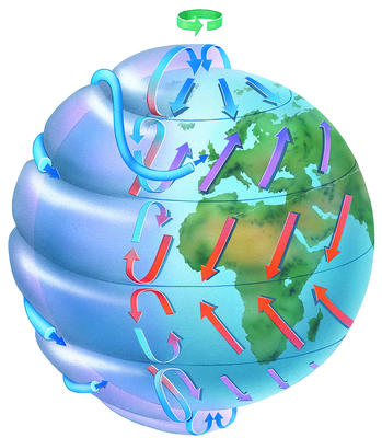 The winds that blow outward from the poles are diverted to east and west by the Earth's rotation.