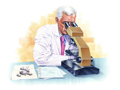 Minerals are studied in a laboratory as well as in the field.
