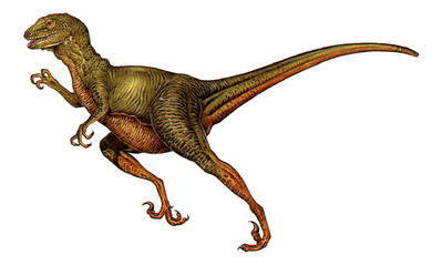 Deinonychus was a fast, meat-eating dinosaur that hunted in packs. 