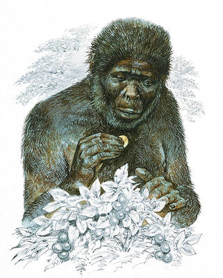 Ramapithecus was an early ape-like creature that lived about 15 million years ago.