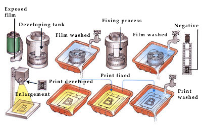 Film is developed to produce a negative, which is enlarged to make a print.