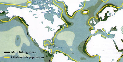 This map shows the major fishing grounds off North America and Europe.